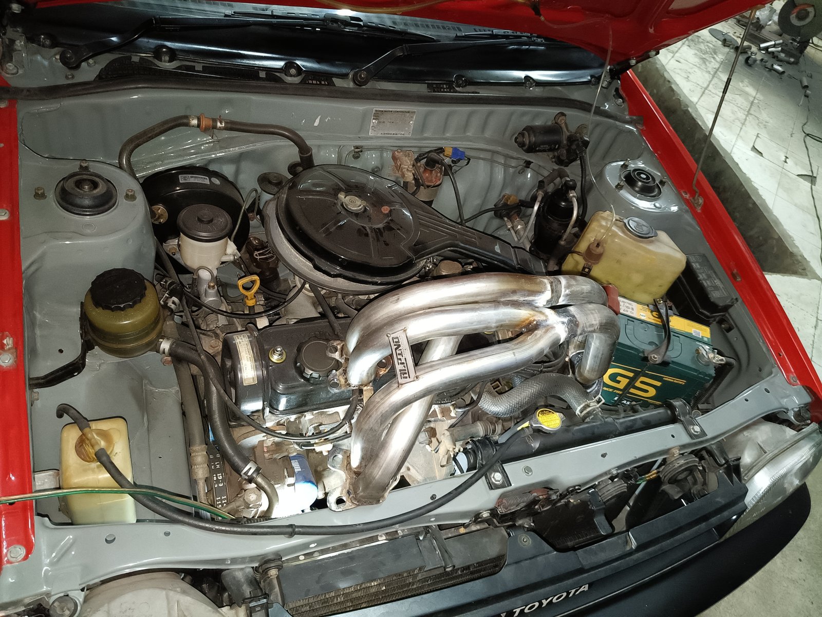 Fulset Starlet